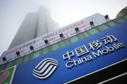 【1分钟科普下】文山州门户网_哔哩哔哩-3